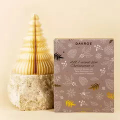 Набір для зволоження та живлення волосся DAVROE Moisture Senses Christmas Xmas Quad Pack with Tame Detangler and Luxe Leave-In Masque