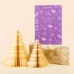 Тонуючий набір для світлого та сивого волосся DAVROE Blonde Senses Toning Christmas Xmas Trios Pack with Chroma Clear Gloss